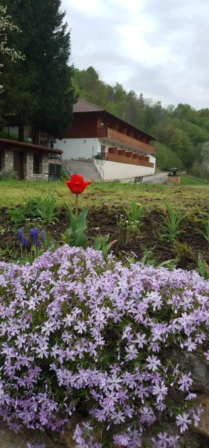 B&B Zlatna Nit Bosanska Krupa Exterior foto